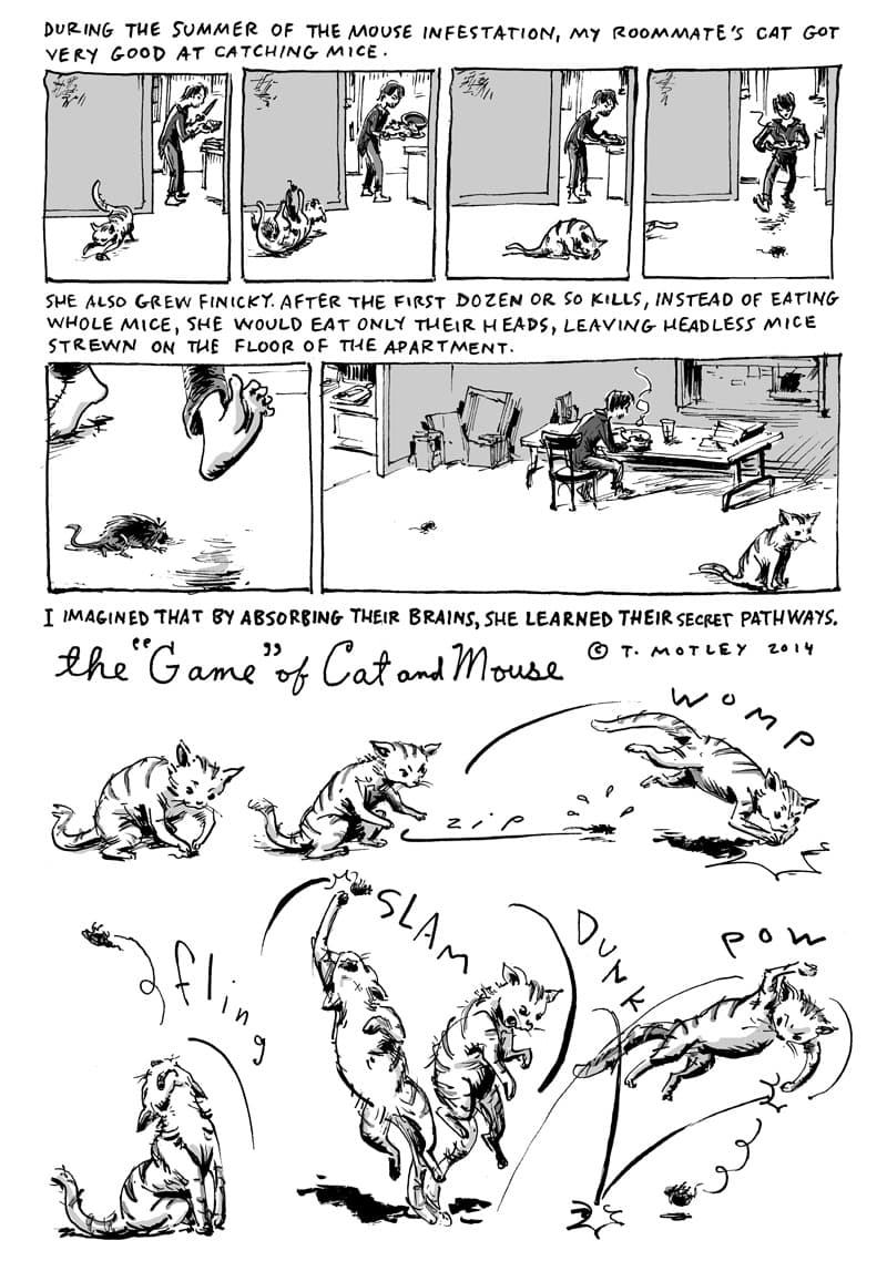 The "Game" of Cat and Mouse