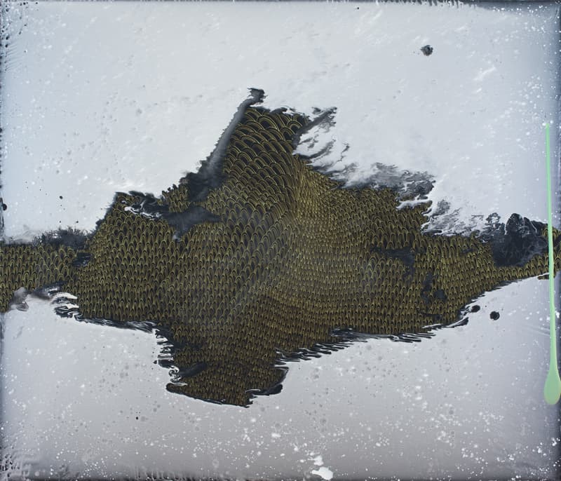 Barbara Takenaga, Aeaea, 2018. Acrylic on linen, 60 x 70 inches. Courtesy the artist and DC Moore Gallery, New York.