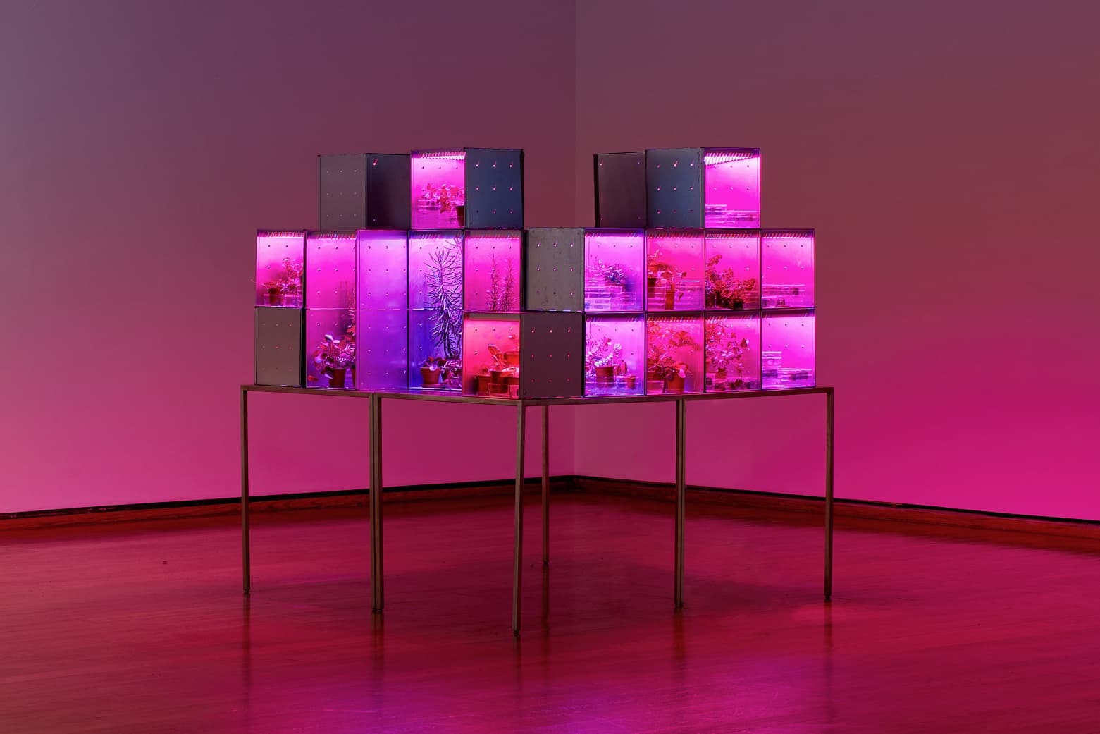 Installation view: Suzanne Anker: 1.5° Celsius, Everson Museum of Art, 2019. Photo: Raul Valverde.