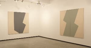 Installation view: Left: "Pasado" (2010). Acrylic on canvas 72 x 72 in. Right: "Presente" (2010). Acrylic on canvas 72 x 72 in. Courtesy of Frederico S¨ve Gallery/ latin collector, NY, NY.