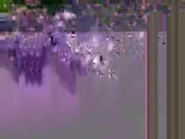 Still from "Liquid Pixels #3" by Elle Burchill, digital video subject to format error, 12 minutes, 2014.