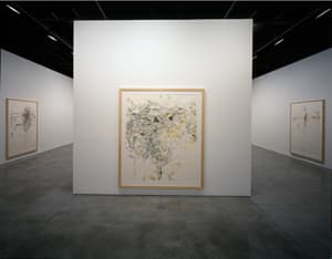 Installation view of Rebecca Horn; Cosmic Maps. Photography: Steven P. Harris, New York. Courtesy: Sean Kelly Gallery, New York.