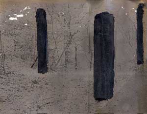 Three Verticles In The Landscape